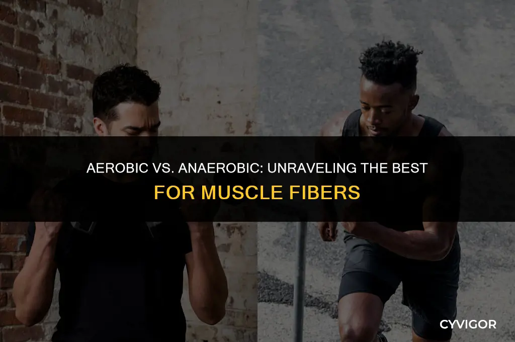 what is good for muscle fibers aerobic or anaerobic
