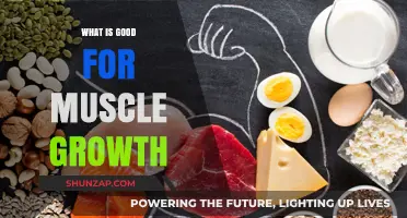 Fuel Your Gains: The Ultimate Guide to Muscle Growth Nutrition