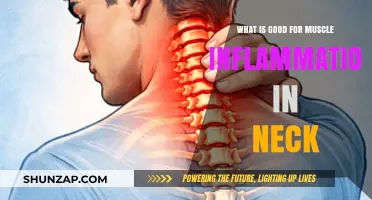 Natural Remedies to Ease Muscle Inflammation in Your Neck