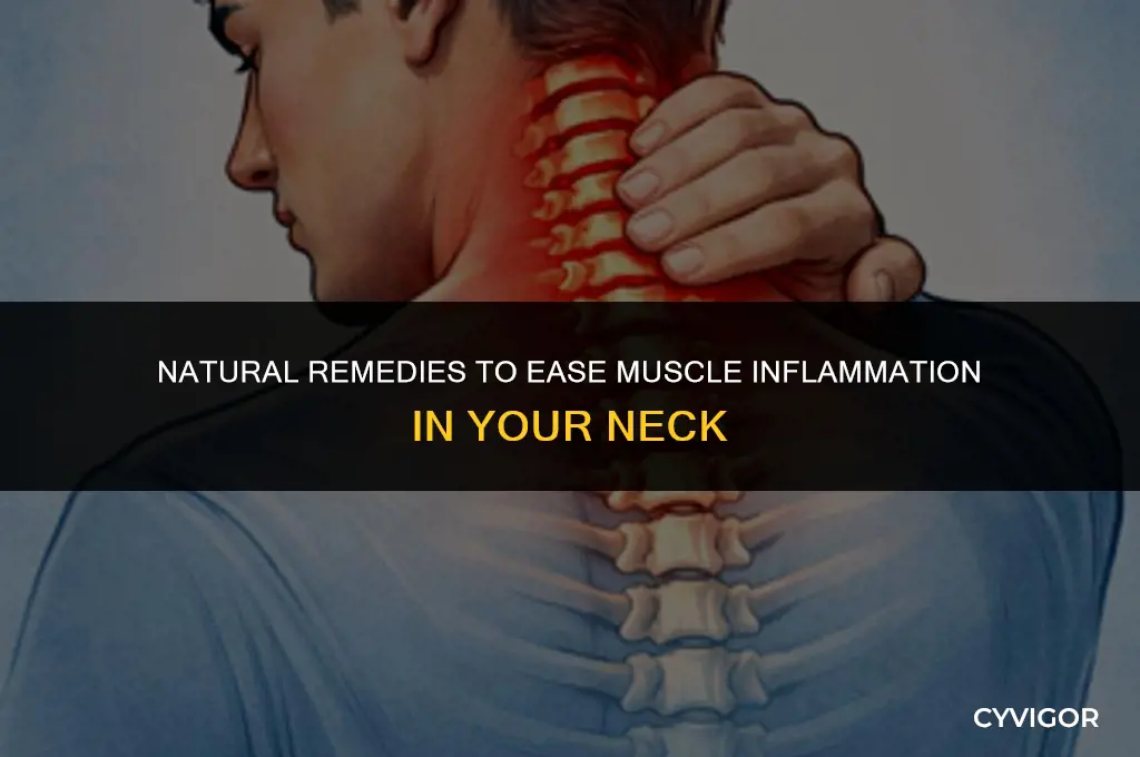 what is good for muscle inflammation in neck
