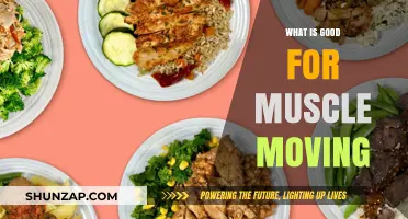 Unleashing Your Inner Strength: Foods That Fuel Muscle Movement