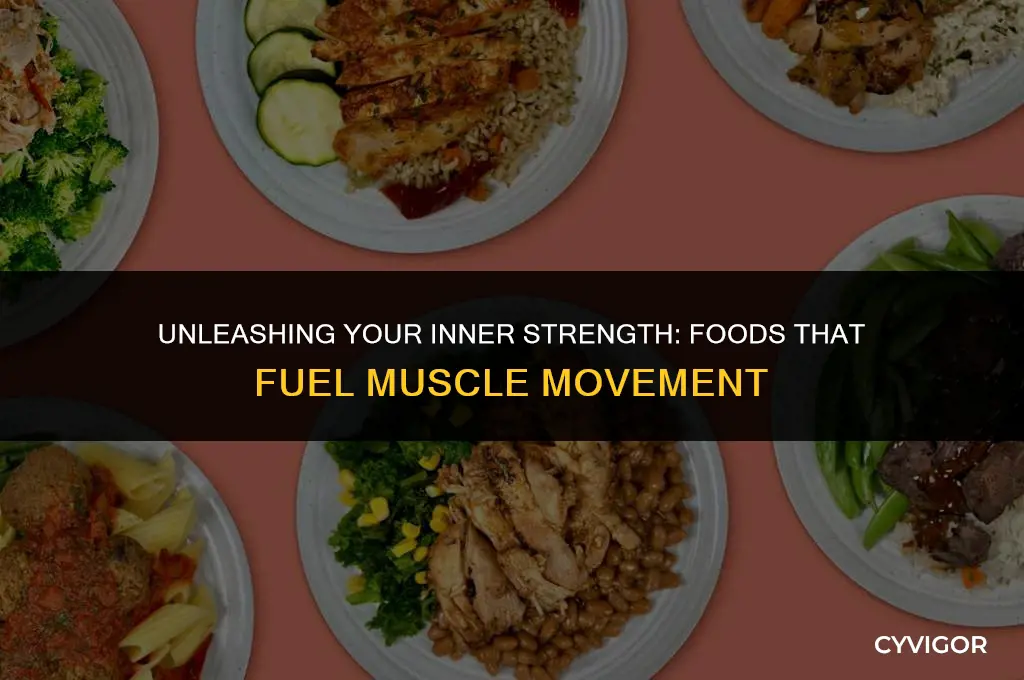 what is good for muscle moving