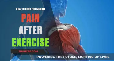 Effective Remedies to Relieve Muscle Pain After Intense Workouts