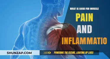 Effective Remedies for Muscle Pain and Inflammation Relief