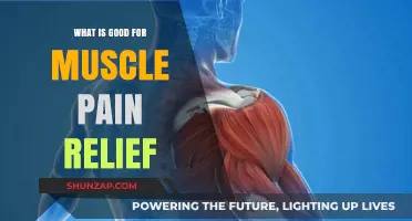 Effective Remedies for Muscle Pain Relief: Natural and Proven Solutions