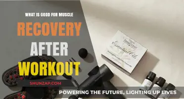 Optimize Your Muscle Recovery: Post-Workout Essentials for Fitness Enthusiasts