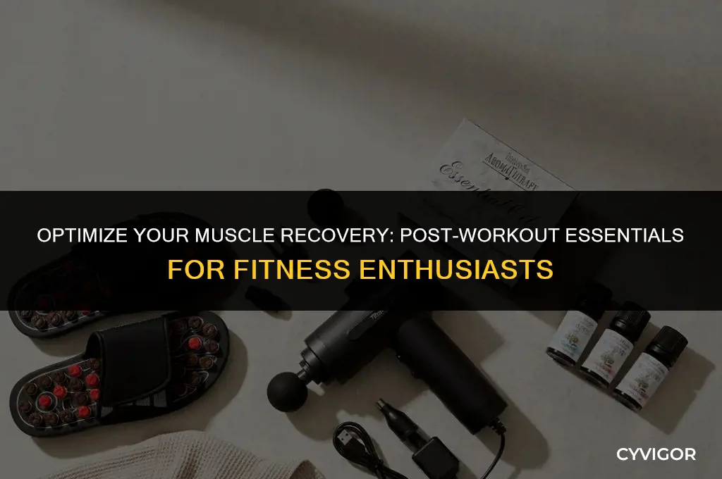 what is good for muscle recovery after workout
