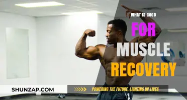 Effective Strategies for Muscle Recovery: Tips to Heal and Rebuild Fast