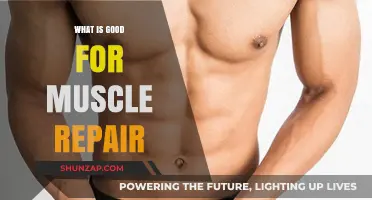 Boost Muscle Repair: Top Foods, Supplements, and Recovery Tips