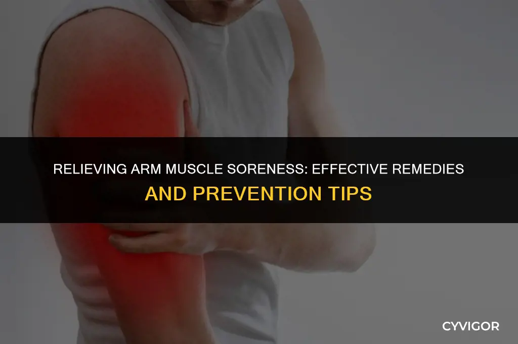 what is good for muscle soreness in arms