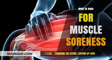 Ease Your Aches: Top Remedies for Muscle Soreness Relief