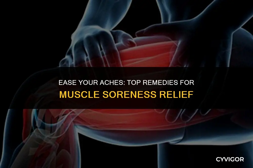 what is good for muscle soreness
