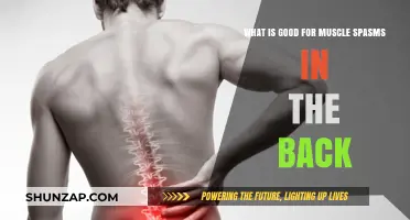 Effective Remedies for Relieving Back Muscle Spasms and Pain