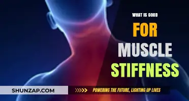 Ease Your Aches: Top Remedies for Muscle Stiffness Revealed