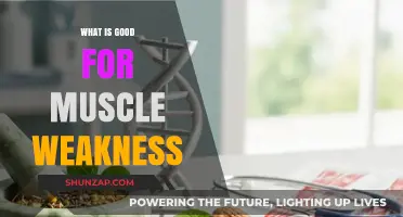 Strengthening Your Body: Effective Remedies for Muscle Weakness