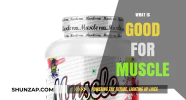 Fuel Your Gains: Nutrients and Habits for Optimal Muscle Health