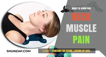 Relieving Neck Muscle Pain: Effective Remedies and Exercises