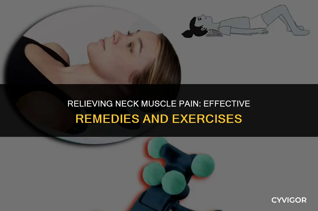 what is good for neck muscle pain