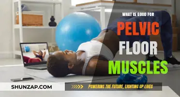 Strengthening Your Core: The Ultimate Guide to Pelvic Floor Health