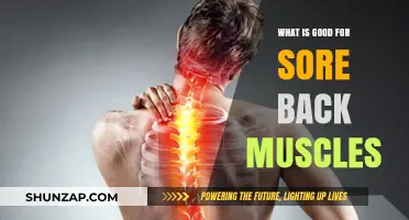 Relieving Sore Back Muscles: Effective Remedies and Prevention Tips