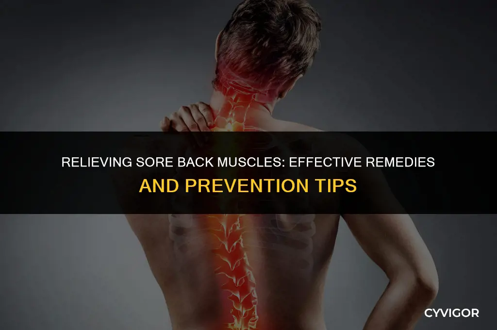 what is good for sore back muscles