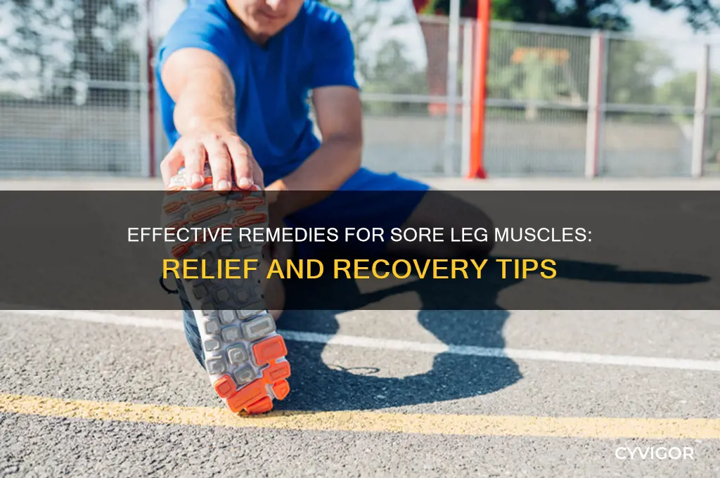 what is good for sore leg muscles