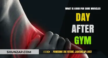 Ease Your Aches: Top Remedies for Sore Muscles After a Gym Session