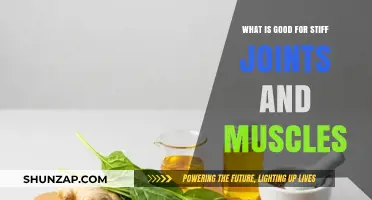 Ease Your Aches: Natural Remedies for Stiff Joints and Muscles