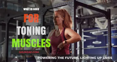 Effective Muscle Toning: Tips and Techniques for a Sculpted Physique