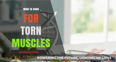 Natural Remedies for Torn Muscles: A Comprehensive Guide