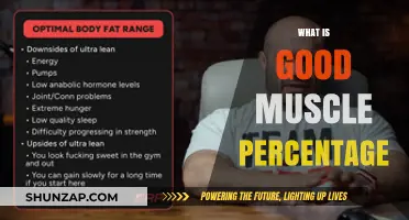 Optimal Muscle Percentage: A Guide to Healthy Body Composition