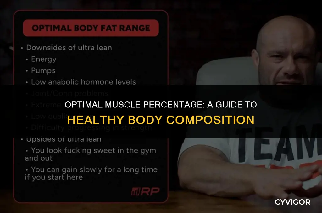 what is good muscle percentage