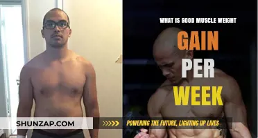 Optimal Weekly Muscle Gain: Healthy Progress for Strength and Fitness