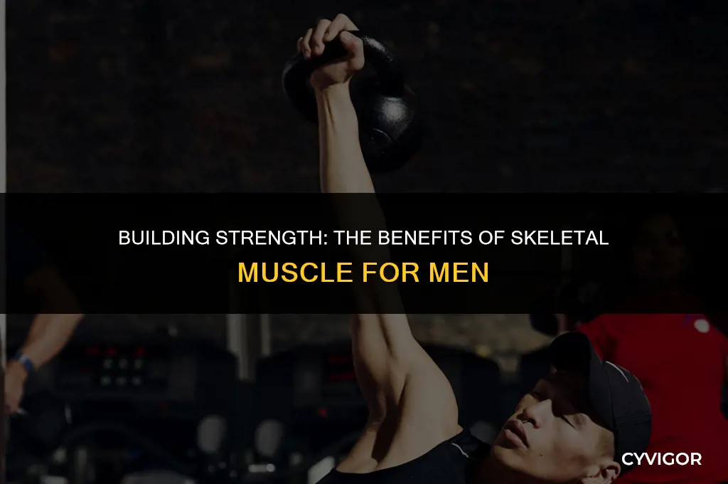 what is good skeletal muscle for men