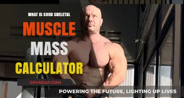 Calculate Your Ideal Skeletal Muscle Mass: A Comprehensive Guide
