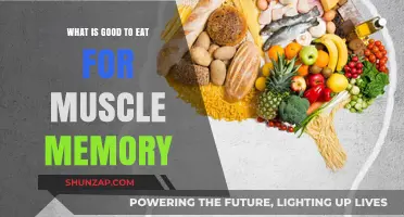 Fuel Your Fitness: Foods to Enhance Muscle Memory and Performance