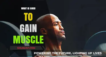 Effective Strategies for Muscle Gain: Nutrition, Training, and Recovery Tips