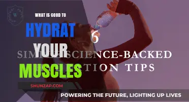 Essential Hydration Tips: Fuel Your Muscles for Optimal Performance