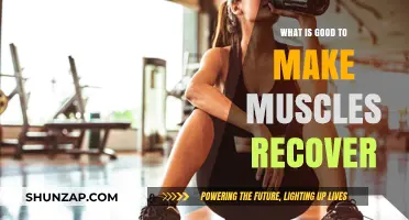 Revitalize Your Muscles: Top Recovery Tips for Fitness Enthusiasts