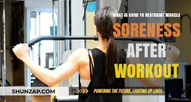 Effective Strategies to Curb Muscle Soreness Post-Workout
