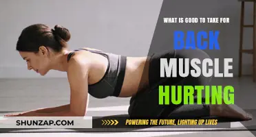Relieving Back Muscle Pain: Effective Remedies and Exercises
