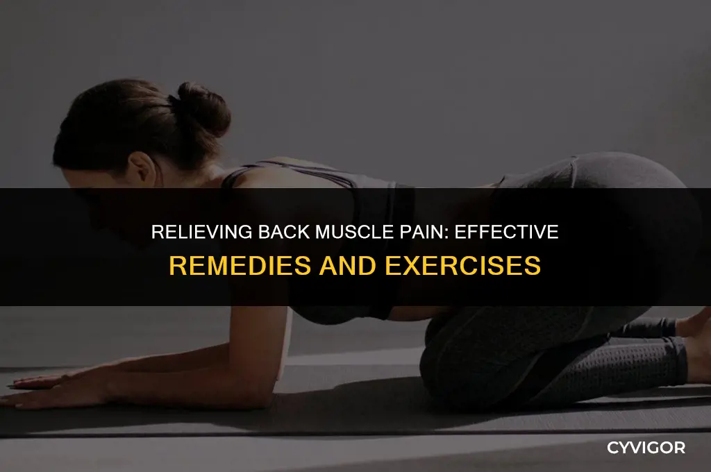 what is good to take for back muscle hurting