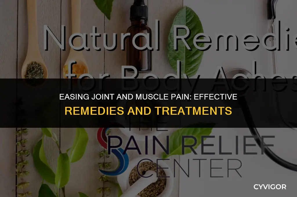 what is good to take for joint and muscle pain