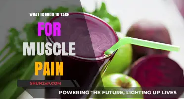 Effective Remedies for Muscle Pain: A Comprehensive Guide