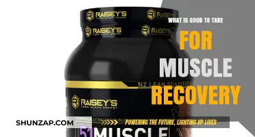 Essential Supplements and Tips for Optimal Muscle Recovery