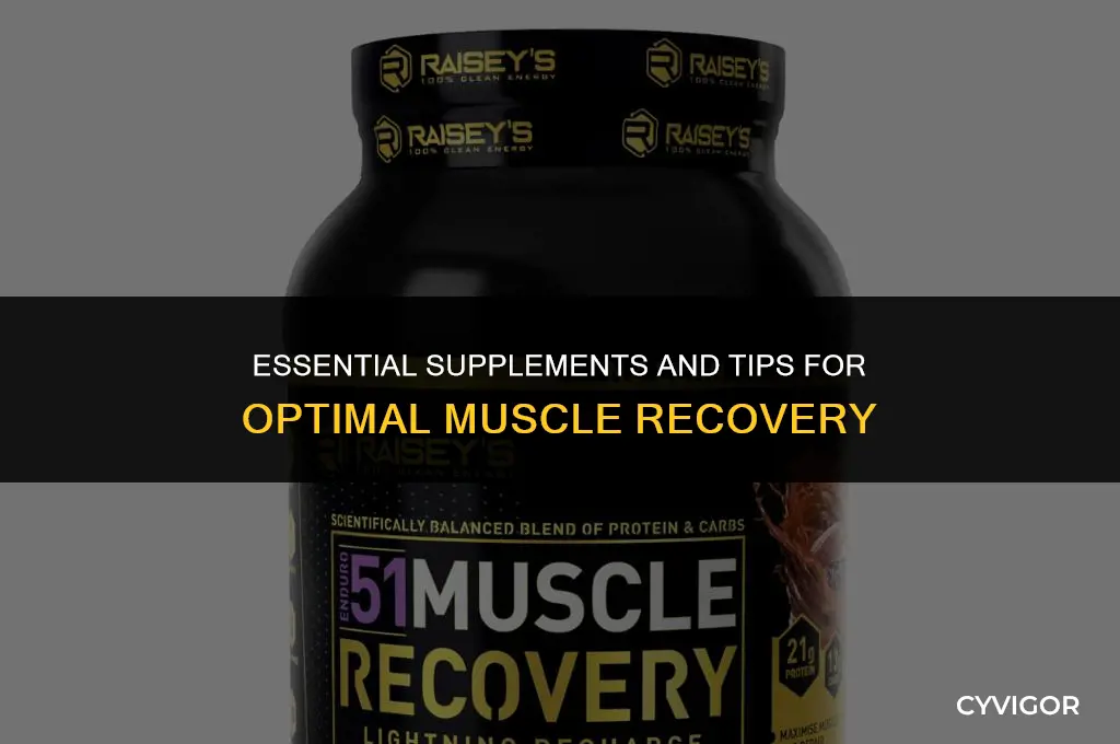 what is good to take for muscle recovery