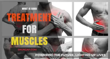 Effective Muscle Treatment: A Comprehensive Guide to Relief and Recovery