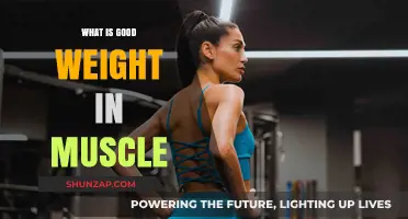 Building Strength: Understanding the Ideal Muscle Weight for Your Body