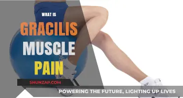 Understanding Graciis Muscle Pain: Causes, Symptoms, and Effective Relief Strategies