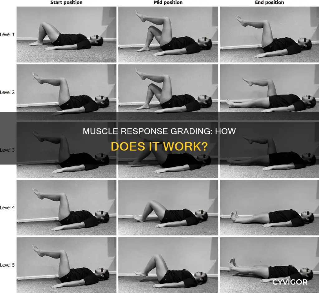 what is graded muscle response